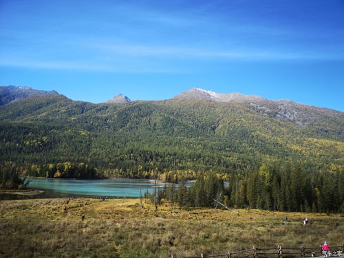 天津 實現(xiàn)安全管理人員證書核發(fā)全程自助 無人審批 http www.fengpintech.com uploads 20201119 46581605747449.jpg 保定市建筑科技教育中心